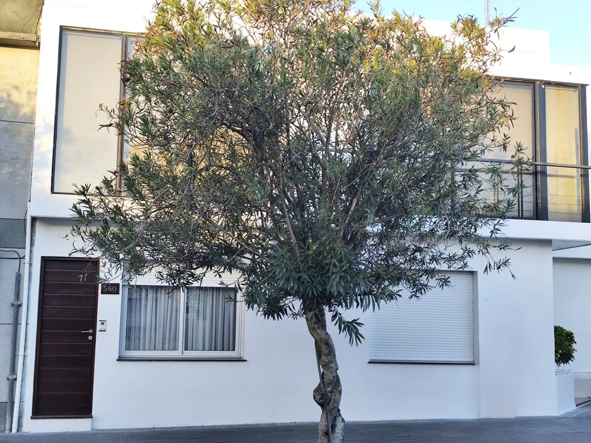 Apartamento – Oribe N° 560 entre Batlle y Odoñez y 18 de Julio