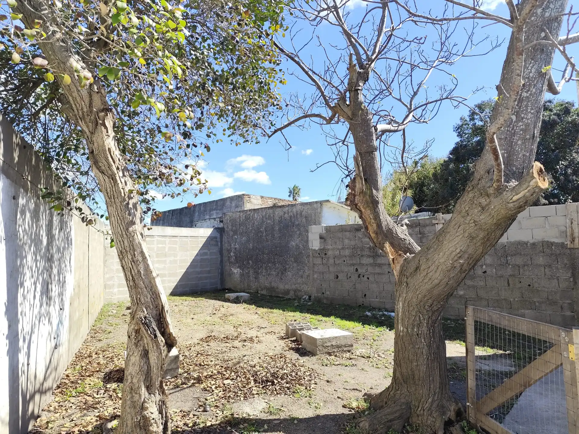 Casa – Lavalleja Nª 851 esquina Pbro. Bentancur