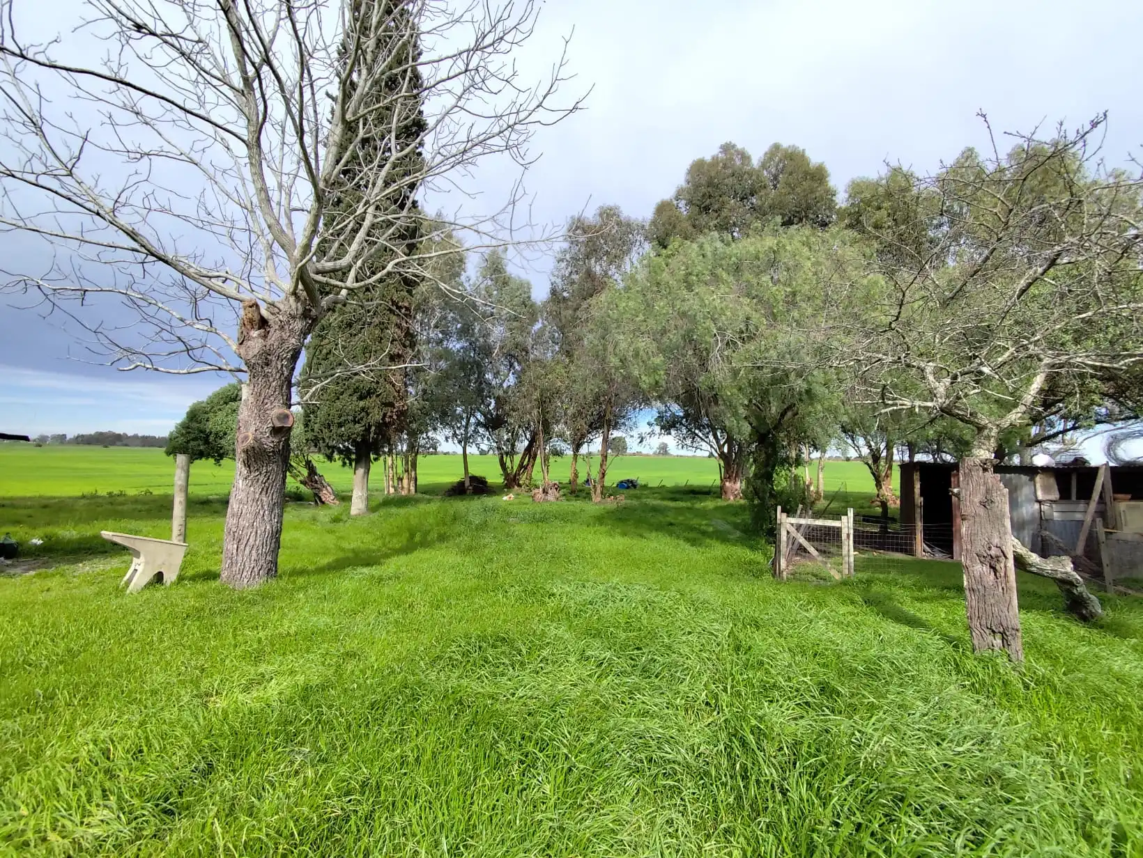 Casa – Ruta 23, Km 113.200 Estación González